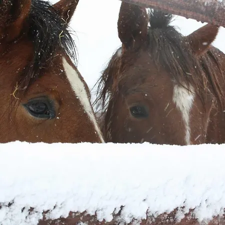 Oda ve Kahvaltı Chambres D'hotes La Verrerie Du Gast