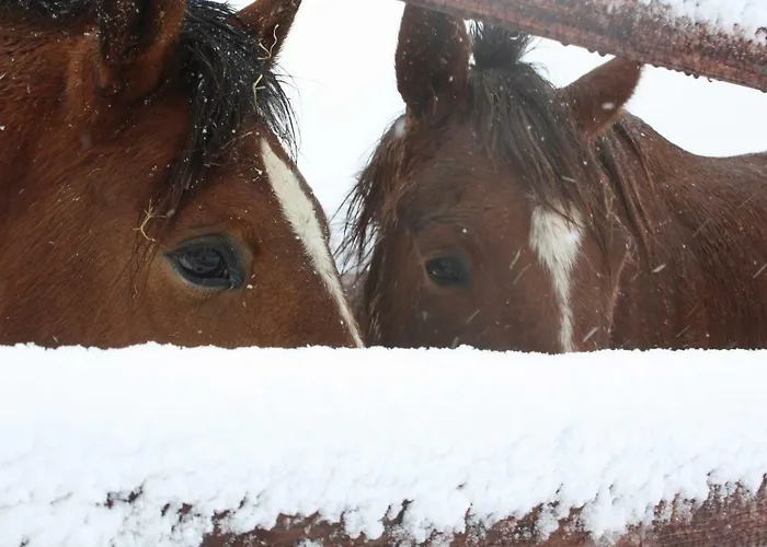 Bed & Breakfast D'hotes La Verrerie Du Gast